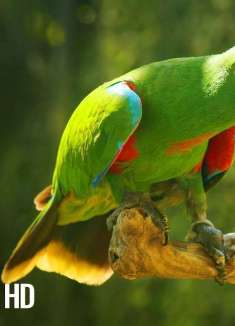 绝美梦幻巴厘岛，一生必去一次！