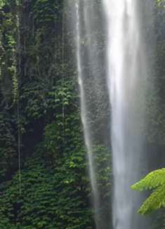 美丽巴厘岛：亚洲的天堂之岛