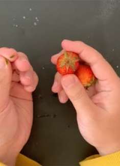 草莓蒂怎么去掉？多亏网友提醒，原来用上一根吸管这么方便