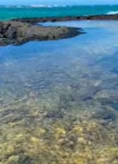 夏威夷自然之美：让人惊叹的美