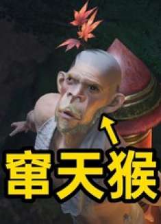 这只吗喽会拳击