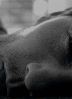 崩溃、破碎和扭曲被放大，城市正在坍塌