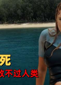 大白鲨之夺命鲨口：海中霸主的陨落，人类猎鲨究竟为了什么