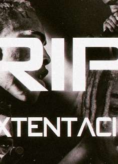 Noah Cyrus的单曲《Again》mv分享