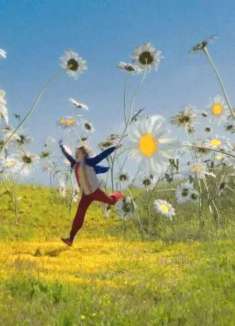 超治愈空灵女声：阳光、草地和小雏菊