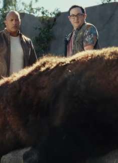 狂暴巨兽：看到灰熊的尸体时，强森明白了，猩猩发生了变异