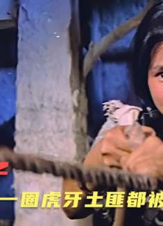 彪悍姑娘为保护国宝给父亲报仇，留土匪过夜，一把皮鞭送他们上路