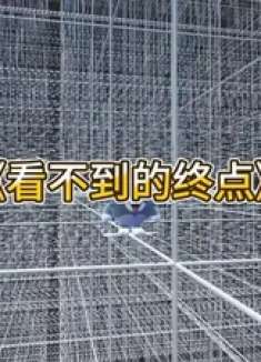 在一个满是线条的世界里找到看不见的终点