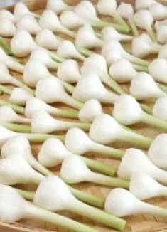 大蒜你还在腌着吃吗?教你换换样,调个灵魂料汁搅一搅,鲜脆爽口