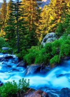 蔚蓝世界：阿尔卑斯山