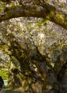 美丽自然风光：舒缓身心，令人惊叹