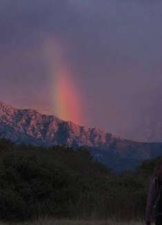 复古胶片风公路旅行，美丽新生命的赞歌