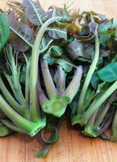 香椿炒鸡蛋要不要焯水,教你正确做法,香椿鲜香