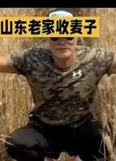 任达华回山东老家收麦子