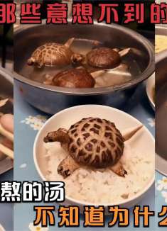 盘点那些意想不到的瞬间：女朋友给我熬的汤，不知道为什么有点慌