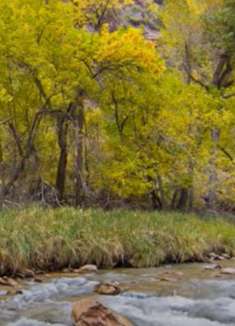 锡安国家公园：美不胜收的美景