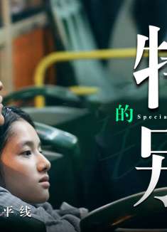 我要我们在一起：是夏日池塘亭亭净植，可远观而不可亵玩的芙蕖