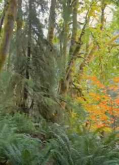 秋季步道：自然景色，让人放松