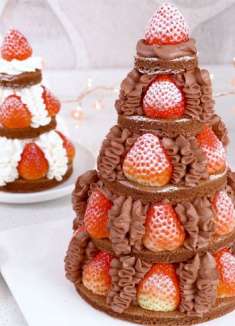 草莓巧克力圣诞树蛋糕