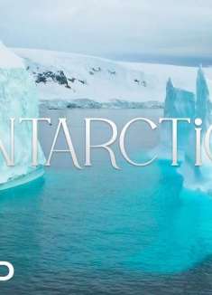 神秘的白色大陆：南极洲