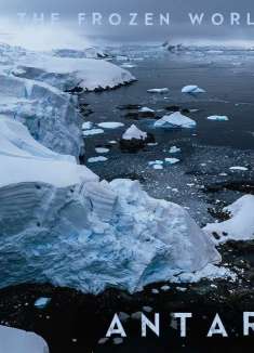 漂去世界尽头，在南极邂逅纯净浪漫