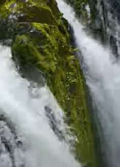 奥林匹克国家公园：让人惊叹不已的美景