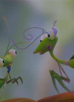 超多反转！第一次约会的公螳螂