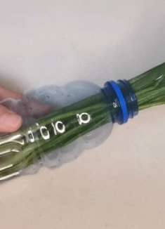 把小葱放进塑料瓶里，过一个月你就知道多神奇了，家家户户都需要