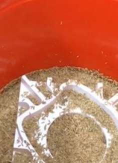 四川话搞笑配音:这次老鼠是越来越狡猾了