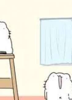 蠢萌小猫咪：电球交换