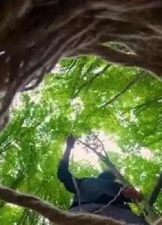 这是我见过最梦幻的庇护所，他摇曳在宛如仙境般的丛林中