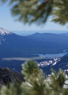 美到窒息！德舒特国家森林的心灵奇旅