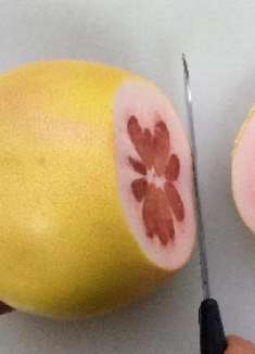 剥柚子，很多人第一步就做错了，头尾切2刀，干净利索又美观