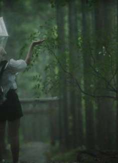 情绪氛围感大片，树林里的东京「雨」下