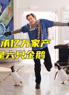 男人养了六只企鹅当宠物，遛狗遛猫，你绝对没见过遛企鹅的