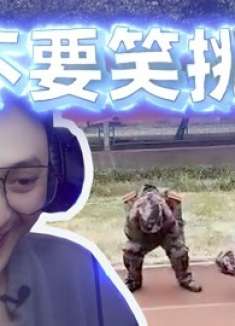 地狱级“不要笑挑战”据说0.005%的人能坚持到最后