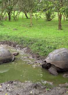 4K 高清风景：圣克鲁斯岛，生物的天堂