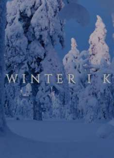 这会是人类最后一次看见这样的芬兰吗？