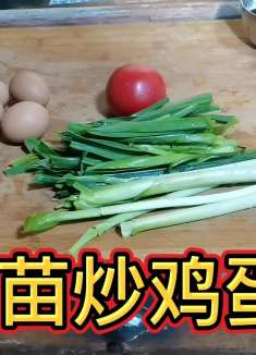 西红柿蒜苗炒鸡蛋最好吃的特殊做法，鲜香可口孩子天天要着吃