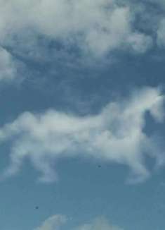 创意摇滚 MV：一场全世界的行为艺术