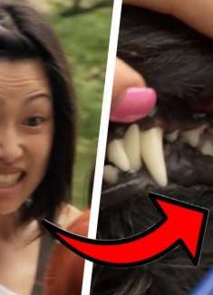 帮忙送伤者进医院，我看你想直接把人送走