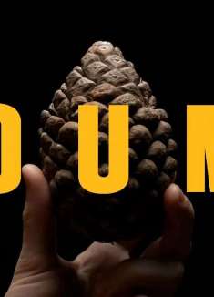 电影幕后揭秘：电影中声音的力量