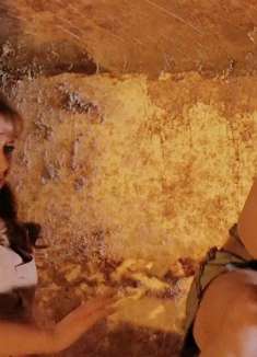 一对孤男寡女准备体验蜂巢“旅馆”，三米长的大蜜蜂却突然回家！