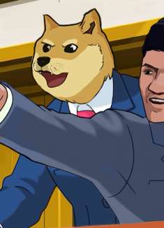 法庭上禁止偷狗！你知道是为什么吗