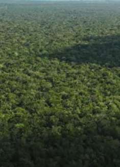 墨西哥水下洞穴：令人难以置信的海底世界