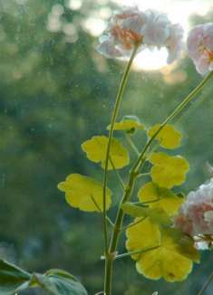 童话王国丹麦首都：哥本哈根