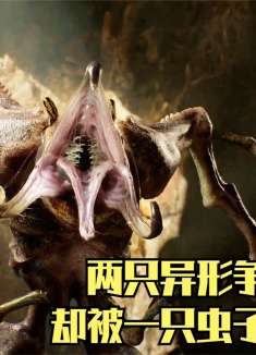 两只异形争夺地盘，却被一只虫子碾成碎片，吓得俯首称臣