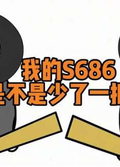 敢打我的S686的主意，啪的～我就把他摁倒在地。搞笑