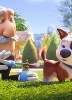 动画冒险电影《萌宠流浪记》，高级宠物狗一夜间变成流浪狗