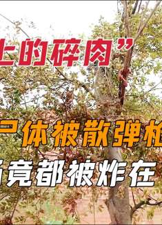 尸体被散弹枪打爆，大小肠均被炸在了树上，现场惨不忍睹。